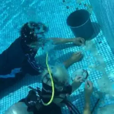 Divers repairing tiles underwater without draining the pool