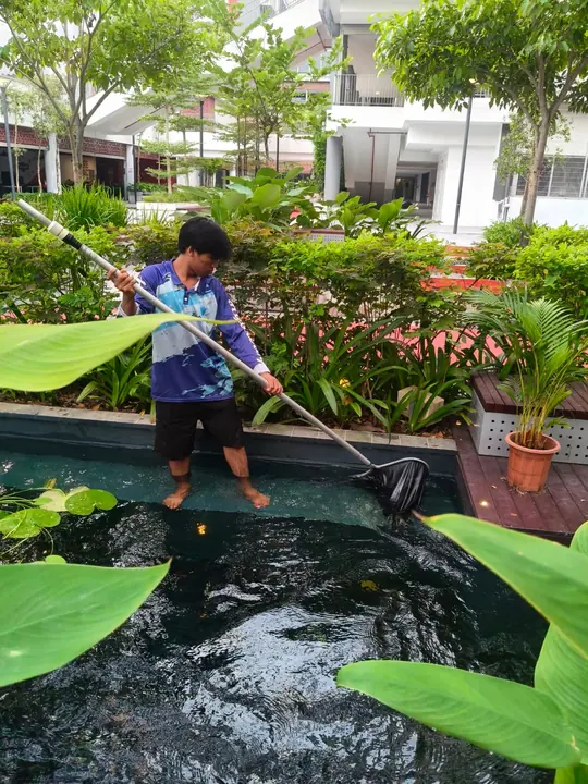 Technician cleaning a landscaped water feature