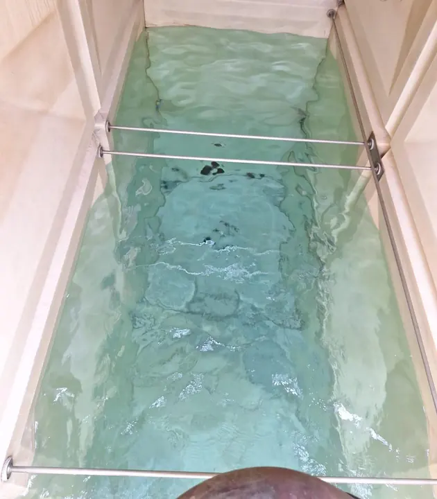 Water tank after cleaning