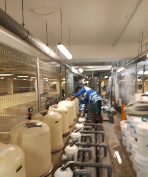 Rows of water treatment vessels in a plant room